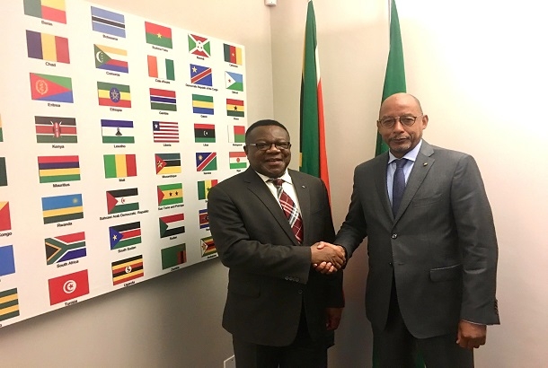 CEO and Prof Nnadozie